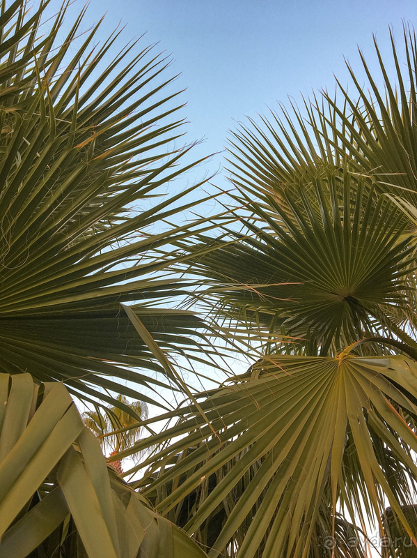 Замечательный отдых с ребенком в Otium Family Eco Club