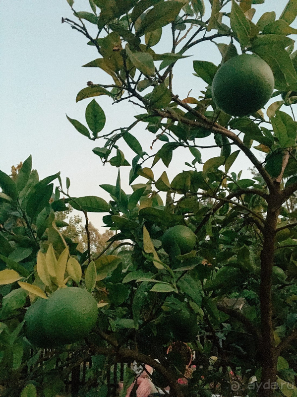 Замечательный отдых с ребенком в Otium Family Eco Club