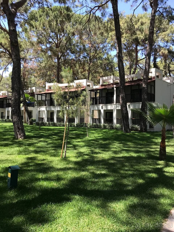 Первый раз в отеле SEVEN SEAS! Лучший отдых в моей жизни!