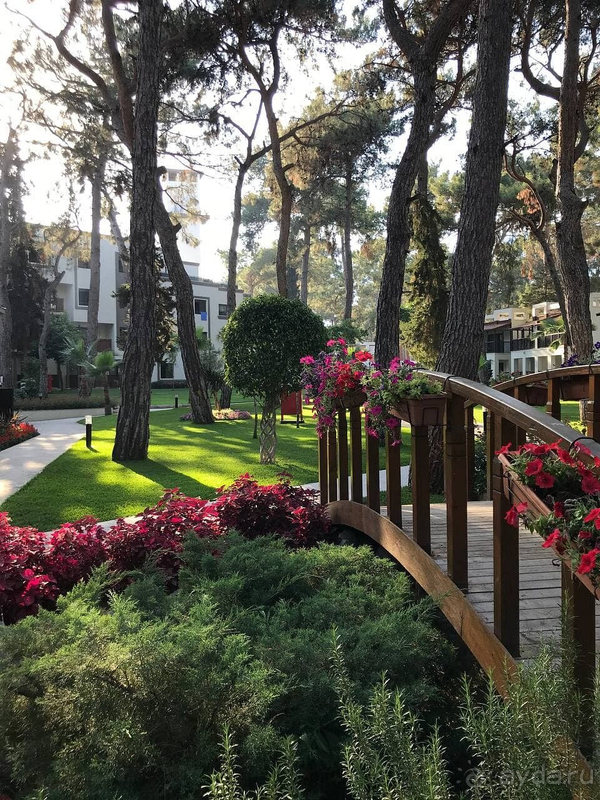 Первый раз в отеле SEVEN SEAS! Лучший отдых в моей жизни!