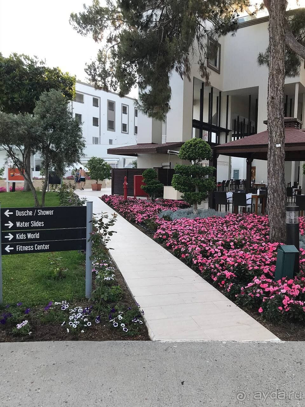 Первый раз в отеле SEVEN SEAS! Лучший отдых в моей жизни!