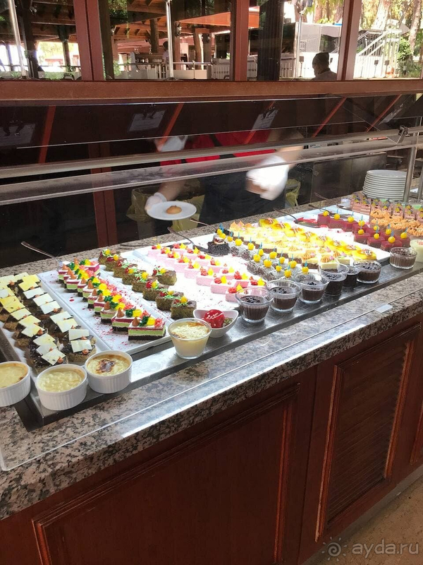 Первый раз в отеле SEVEN SEAS! Лучший отдых в моей жизни!