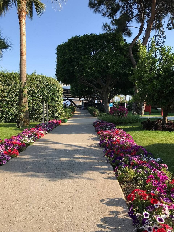 Первый раз в отеле SEVEN SEAS! Лучший отдых в моей жизни!