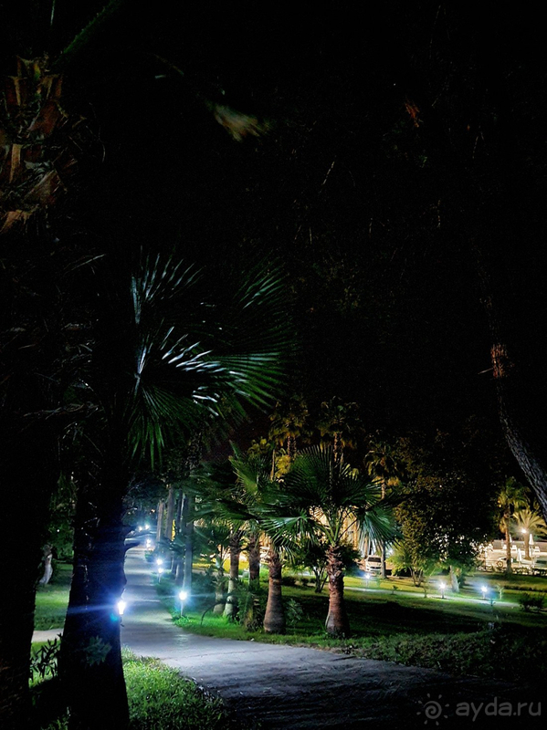 Отель действительно хороший.