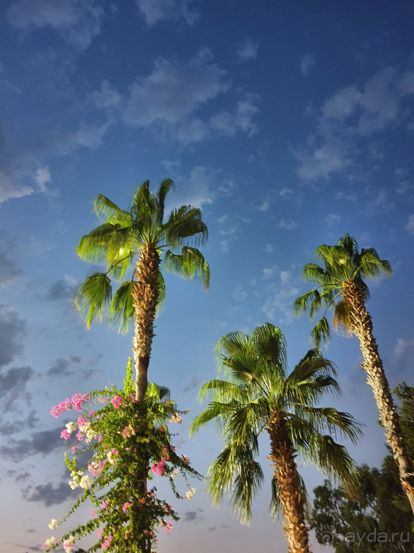 Отель действительно хороший.