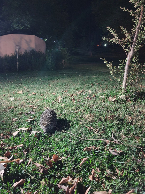 Отель действительно хороший.