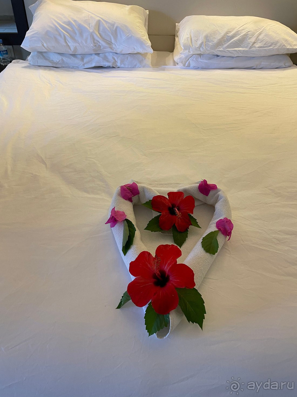 Прекрасный отель!