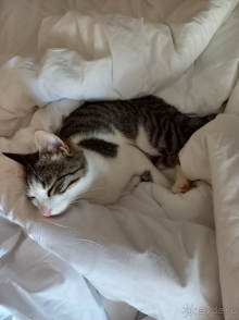 Отдых в Arcanus Side Resort