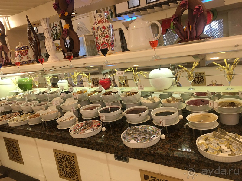 Первые впечатления