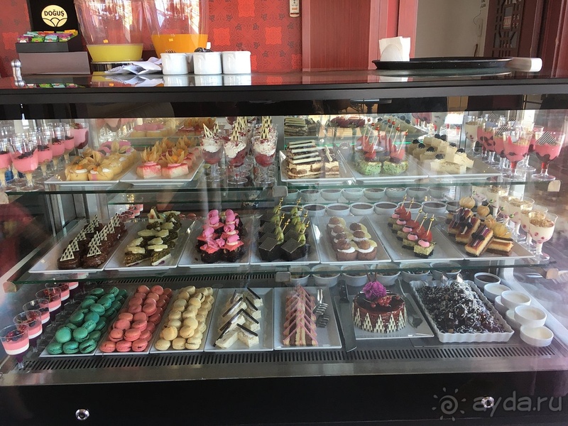 Первые впечатления