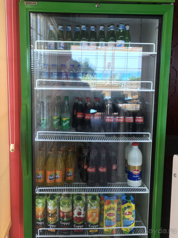 Первые впечатления