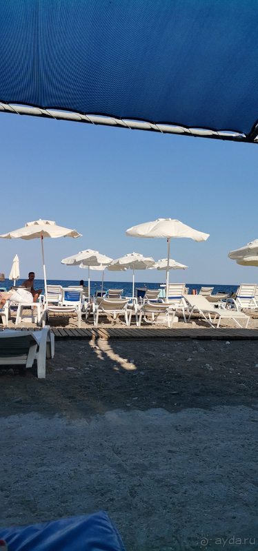 Лучше, чем ожидали