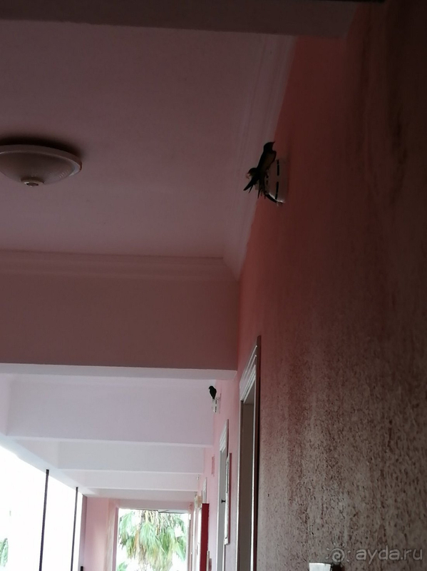 Вернёмся ли? Не уверена. Вернёмся ли? Не уверена.