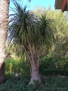 Для отдыха с семьей рекомендовать можно