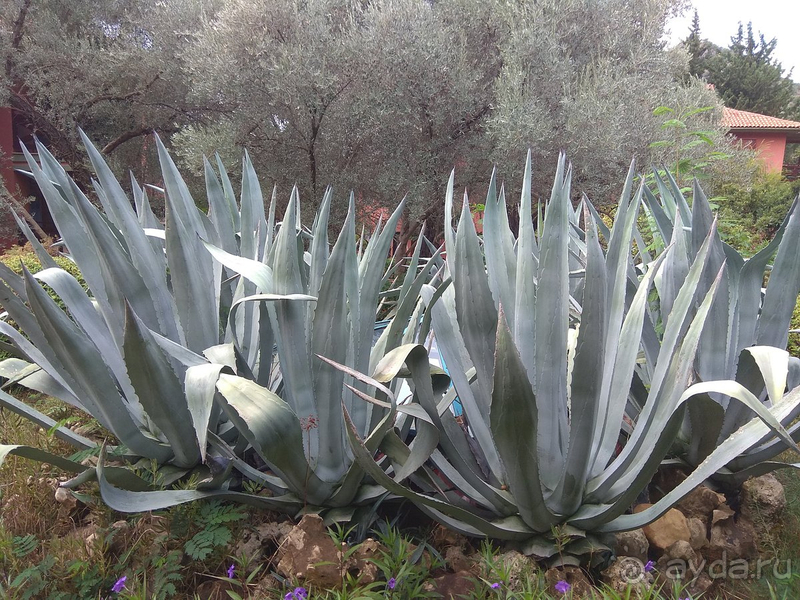 Для отдыха с семьей рекомендовать можно