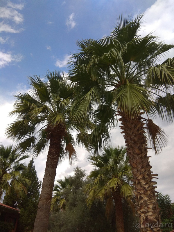 Для отдыха с семьей рекомендовать можно