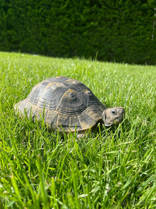 Прекрасный отдых в отличном отеле