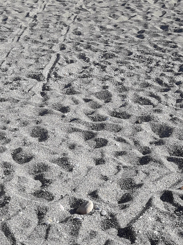 4-ка с чудесным морем