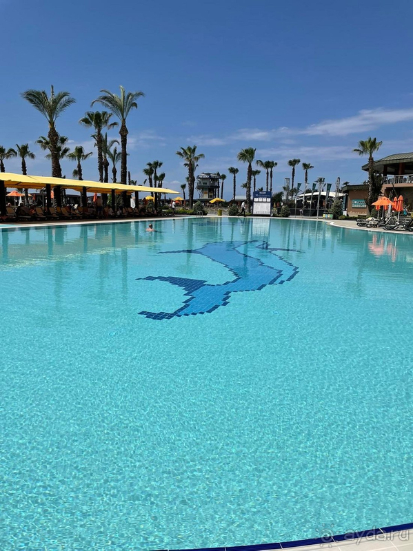 Не оправданы ожидания