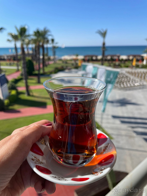 Замечательный отдых