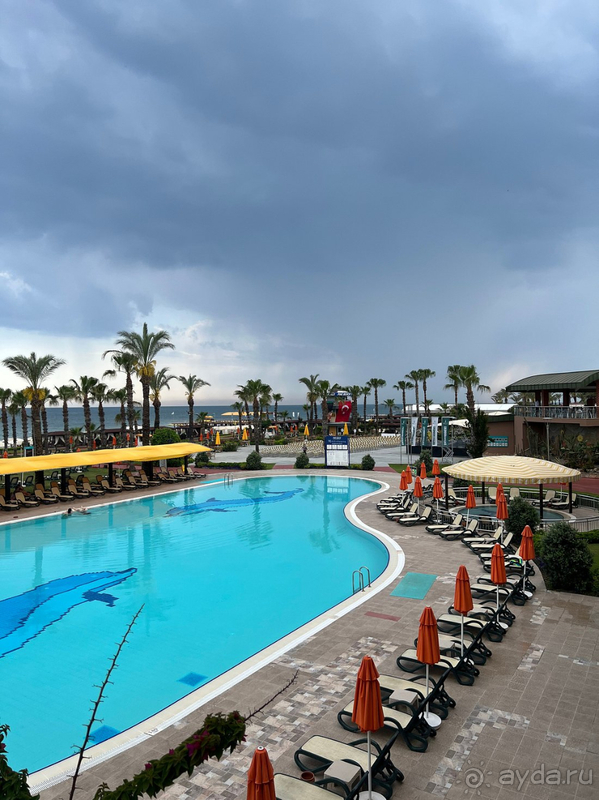 Возвращение в любимый отель