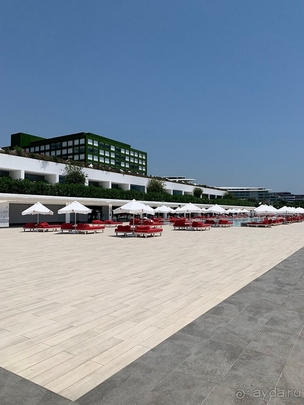 Не оправдал ожиданий