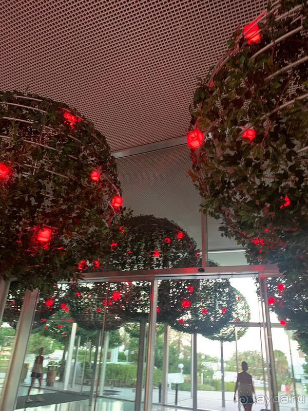 Не оправдал ожиданий