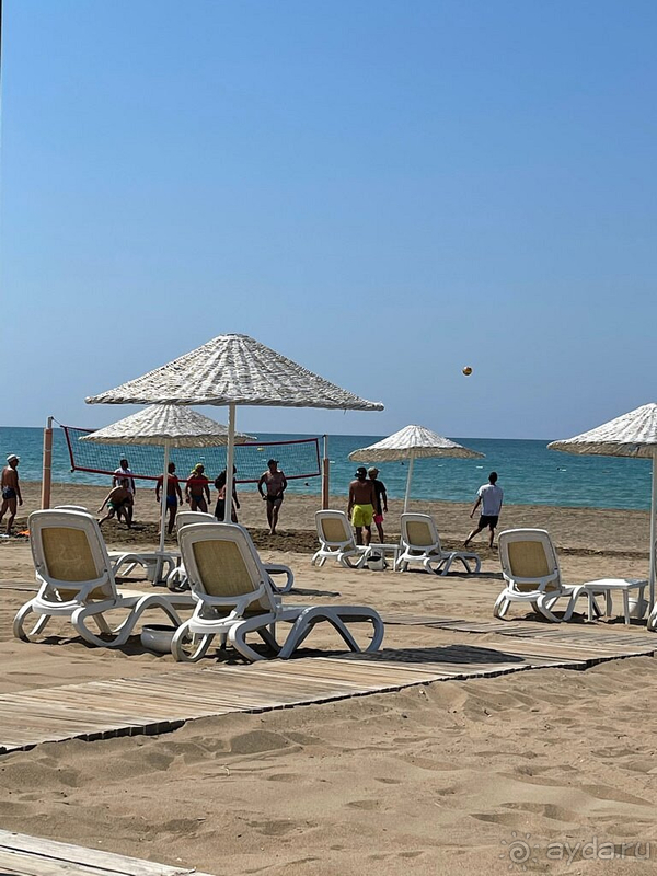 Не оправдал ожиданий