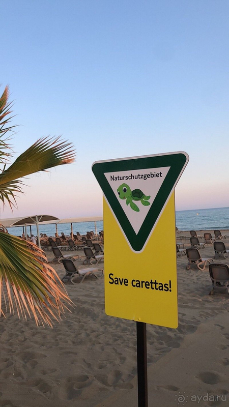 Отличный отдых в отличном отеле))