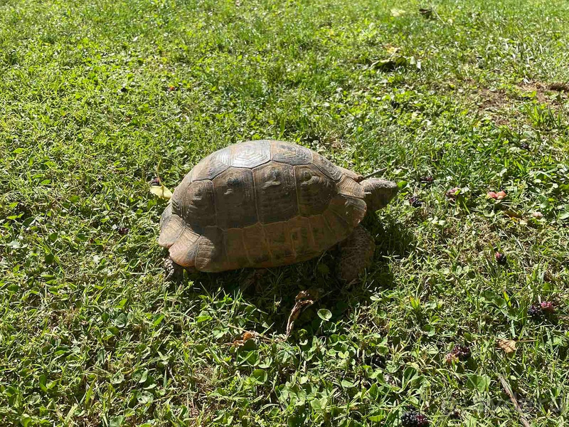 Очень хорошо