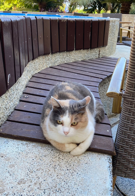 Очень хорошо