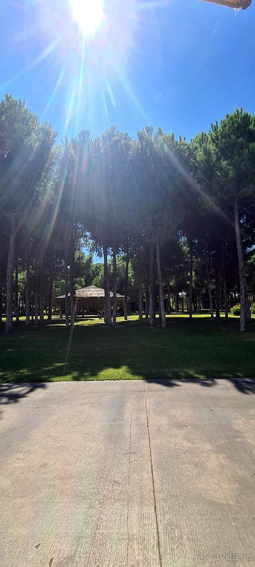 фото Regnum Carya Golf & Spa