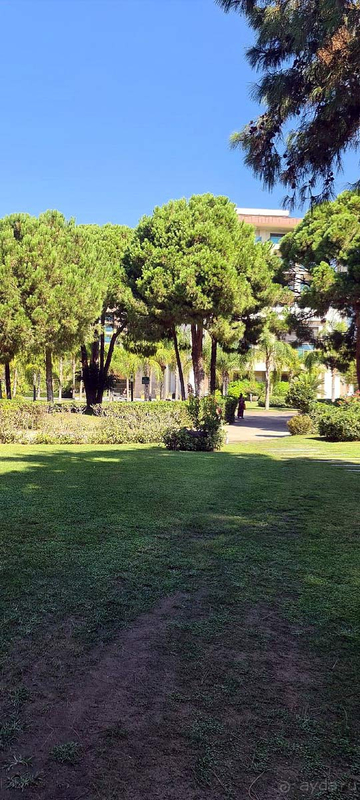 Супер отель! Не хотелось уезжать. Чистота везде.