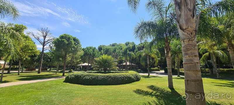 Супер отель! Не хотелось уезжать. Чистота везде.