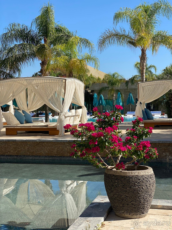 Все было отлично! Ну, почти все)