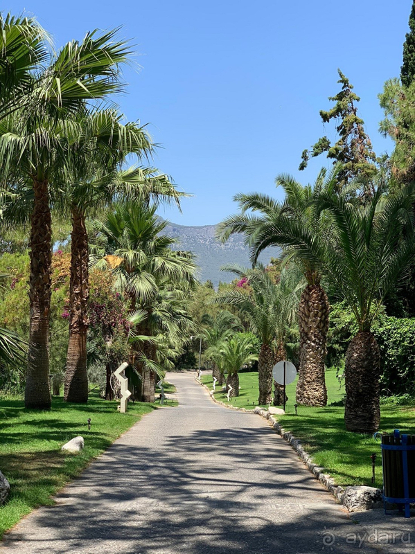 Великолепный отдых