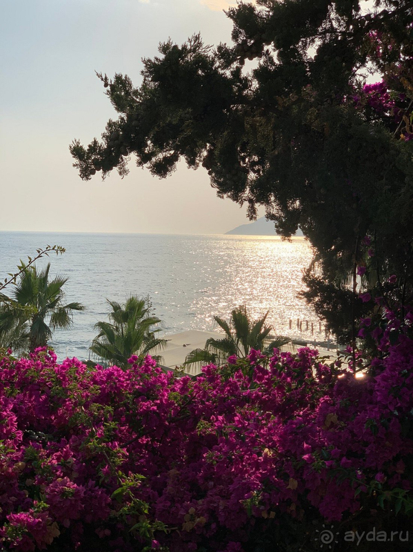 фото Liberty Hotels Lykia