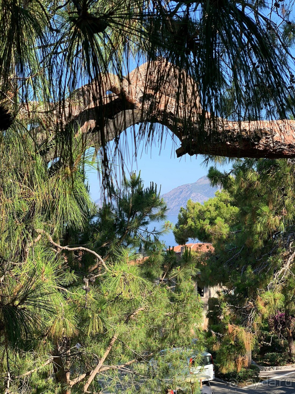 Великолепный отдых