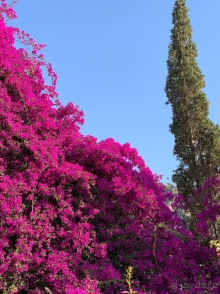 Великолепный отдых