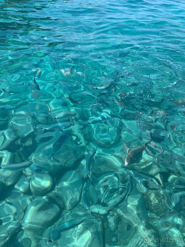 Великолепный отдых