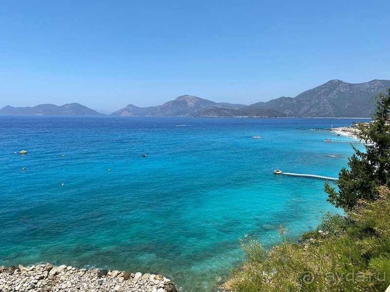 Смешанные чувства