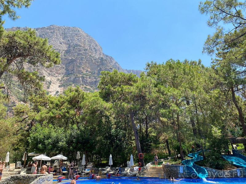 Смешанные чувства