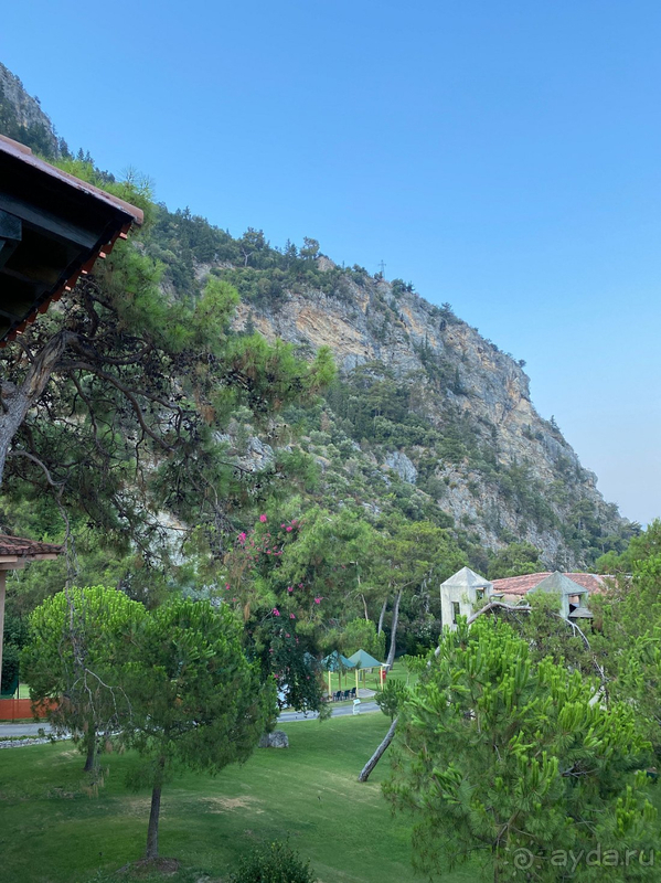 Смешанные чувства