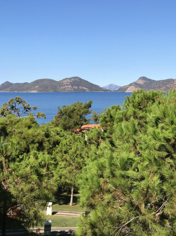 Отдыхом довольны, вернулись бы снова.