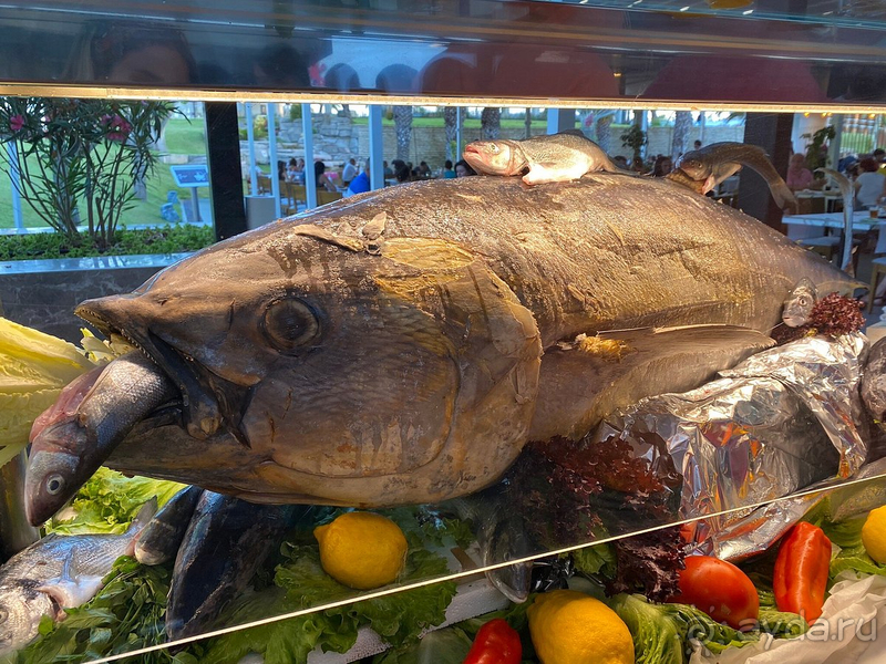 Отдых дамской компанией