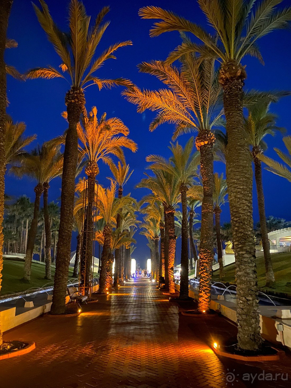 Отдых дамской компанией