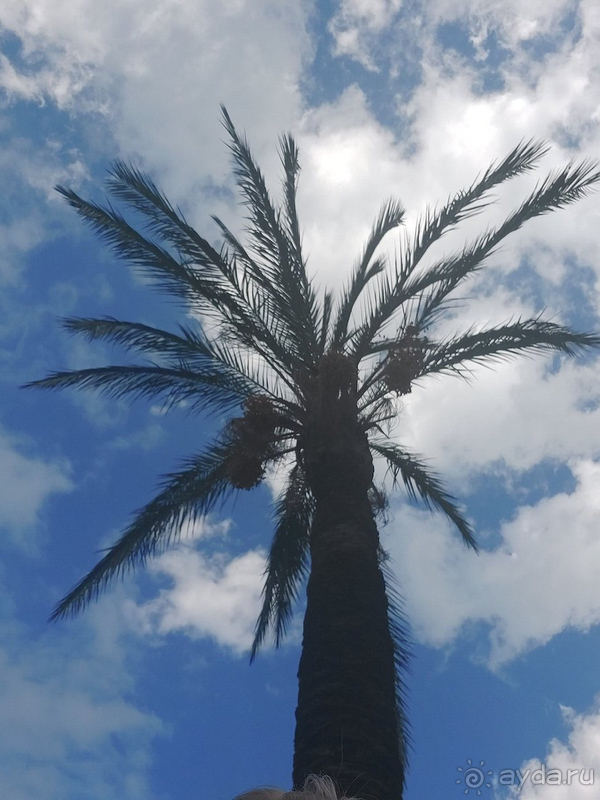 Отель за свои деньги очень даже неплохой.