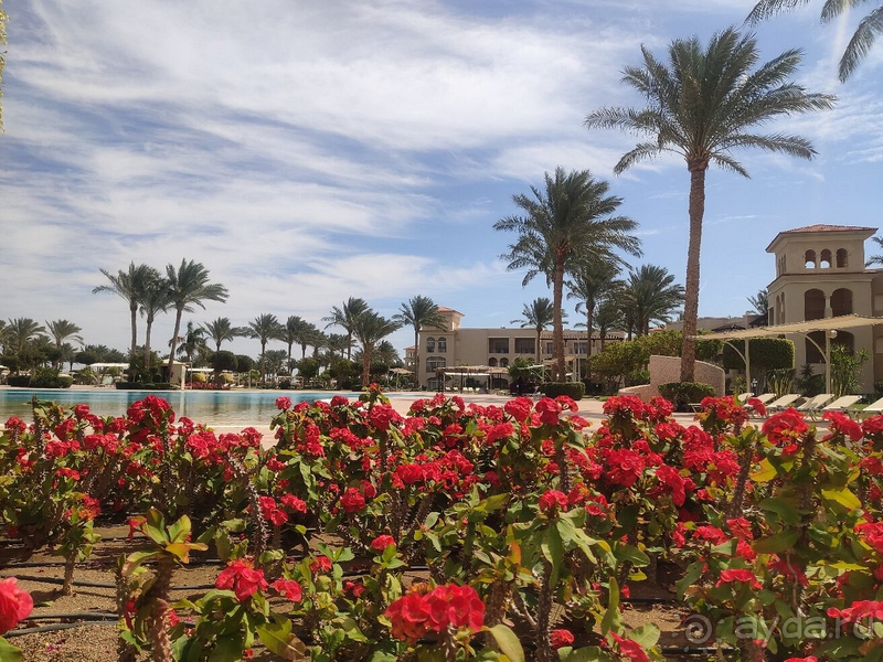 Больше не вернемся