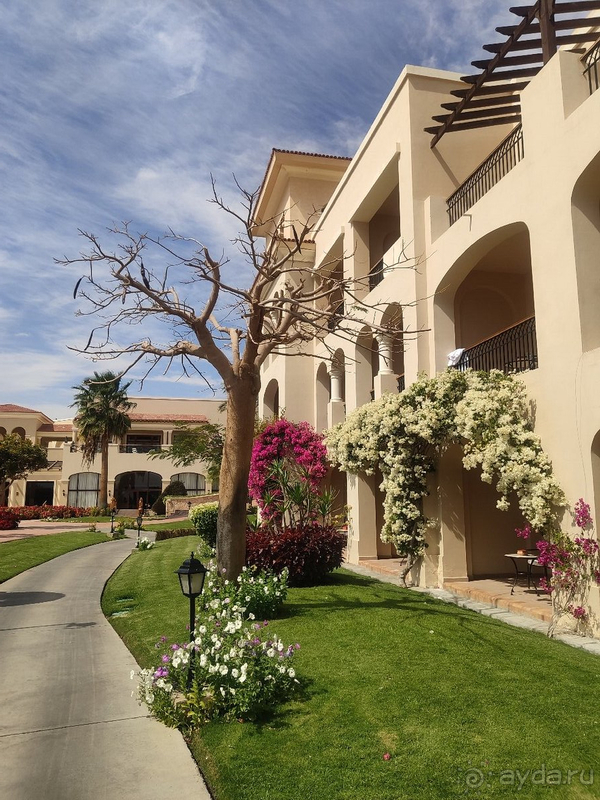 Больше не вернемся