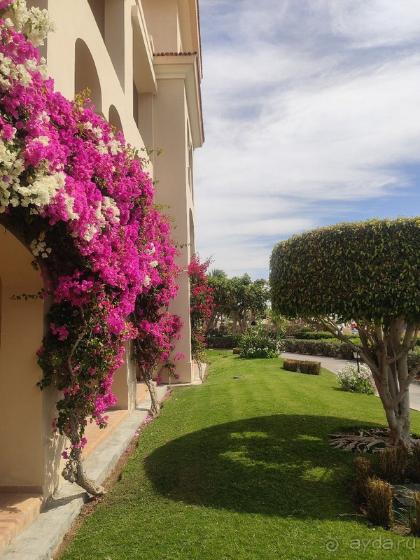 Больше не вернемся